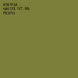 #7B7F3A - Pesto Color Image