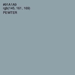 #91A1A9 - Pewter Color Image