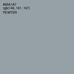 #95A1A7 - Pewter Color Image