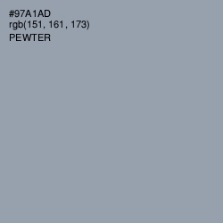 #97A1AD - Pewter Color Image