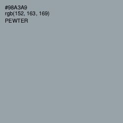 #98A3A9 - Pewter Color Image