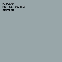 #98A6A9 - Pewter Color Image