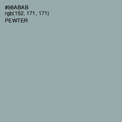 #98ABAB - Pewter Color Image