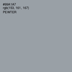 #99A1A7 - Pewter Color Image