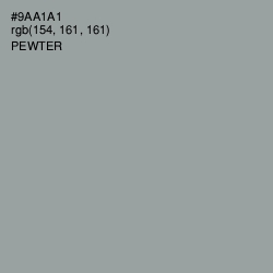 #9AA1A1 - Pewter Color Image