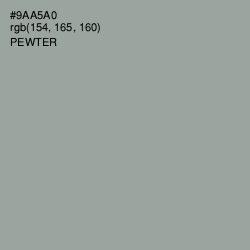 #9AA5A0 - Pewter Color Image