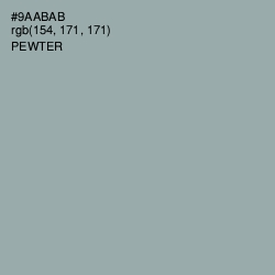 #9AABAB - Pewter Color Image