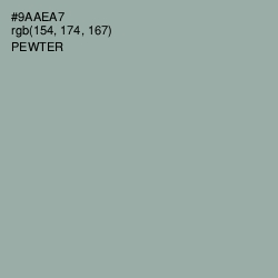 #9AAEA7 - Pewter Color Image