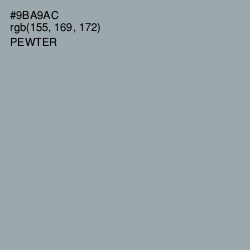 #9BA9AC - Pewter Color Image