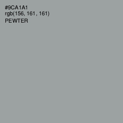 #9CA1A1 - Pewter Color Image
