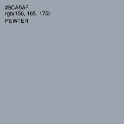 #9CA5AF - Pewter Color Image