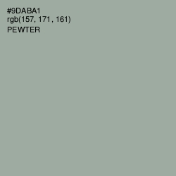 #9DABA1 - Pewter Color Image