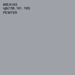 #9EA1A5 - Pewter Color Image