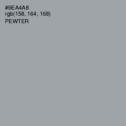 #9EA4A8 - Pewter Color Image