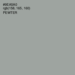 #9EA5A0 - Pewter Color Image