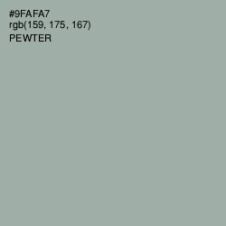 #9FAFA7 - Pewter Color Image