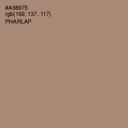 #A98975 - Pharlap Color Image