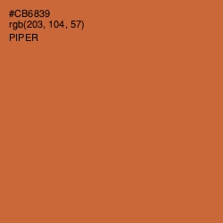 #CB6839 - Piper Color Image