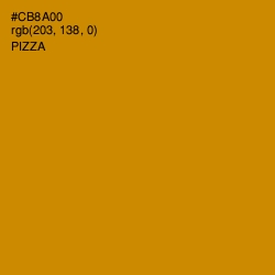 #CB8A00 - Pizza Color Image