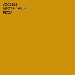 #CC9208 - Pizza Color Image