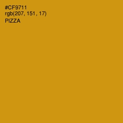 #CF9711 - Pizza Color Image