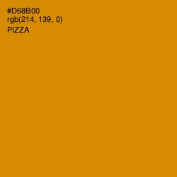 #D68B00 - Pizza Color Image