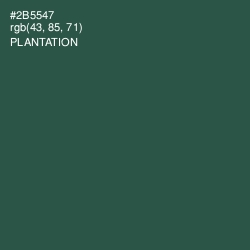 #2B5547 - Plantation Color Image