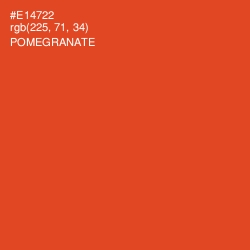 #E14722 - Pomegranate Color Image