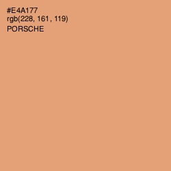 #E4A177 - Porsche Color Image