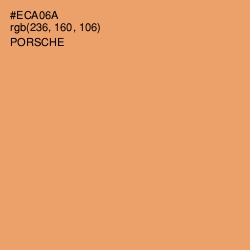 #ECA06A - Porsche Color Image