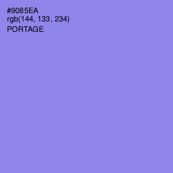 #9085EA - Portage Color Image