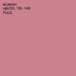 #CA8291 - Puce Color Image