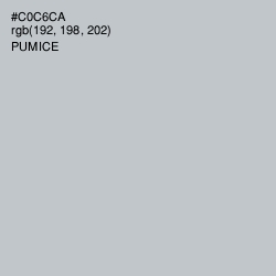 #C0C6CA - Pumice Color Image