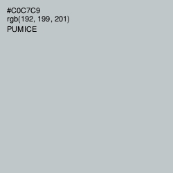 #C0C7C9 - Pumice Color Image