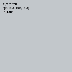 #C1C7CB - Pumice Color Image