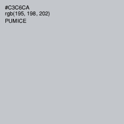 #C3C6CA - Pumice Color Image