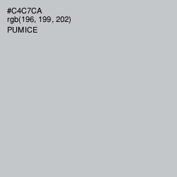 #C4C7CA - Pumice Color Image
