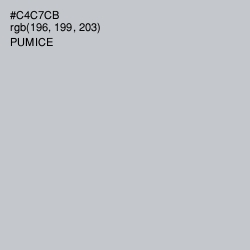 #C4C7CB - Pumice Color Image
