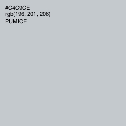 #C4C9CE - Pumice Color Image