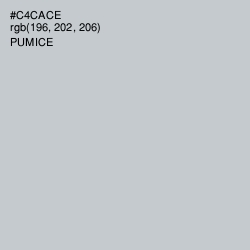 #C4CACE - Pumice Color Image