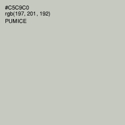 #C5C9C0 - Pumice Color Image