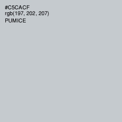 #C5CACF - Pumice Color Image