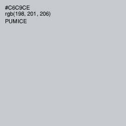 #C6C9CE - Pumice Color Image