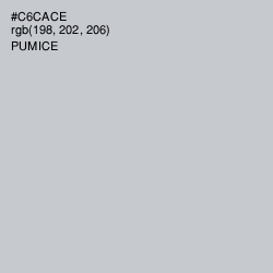 #C6CACE - Pumice Color Image