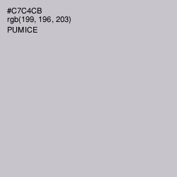 #C7C4CB - Pumice Color Image