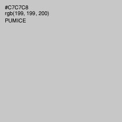 #C7C7C8 - Pumice Color Image