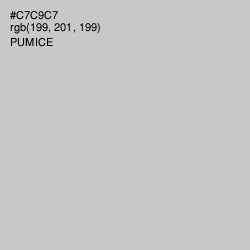 #C7C9C7 - Pumice Color Image