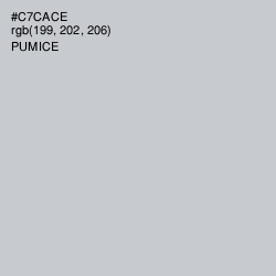 #C7CACE - Pumice Color Image
