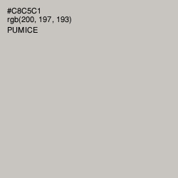 #C8C5C1 - Pumice Color Image
