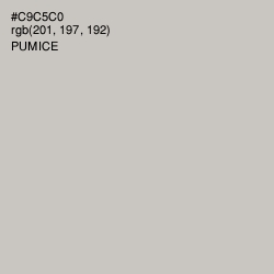 #C9C5C0 - Pumice Color Image